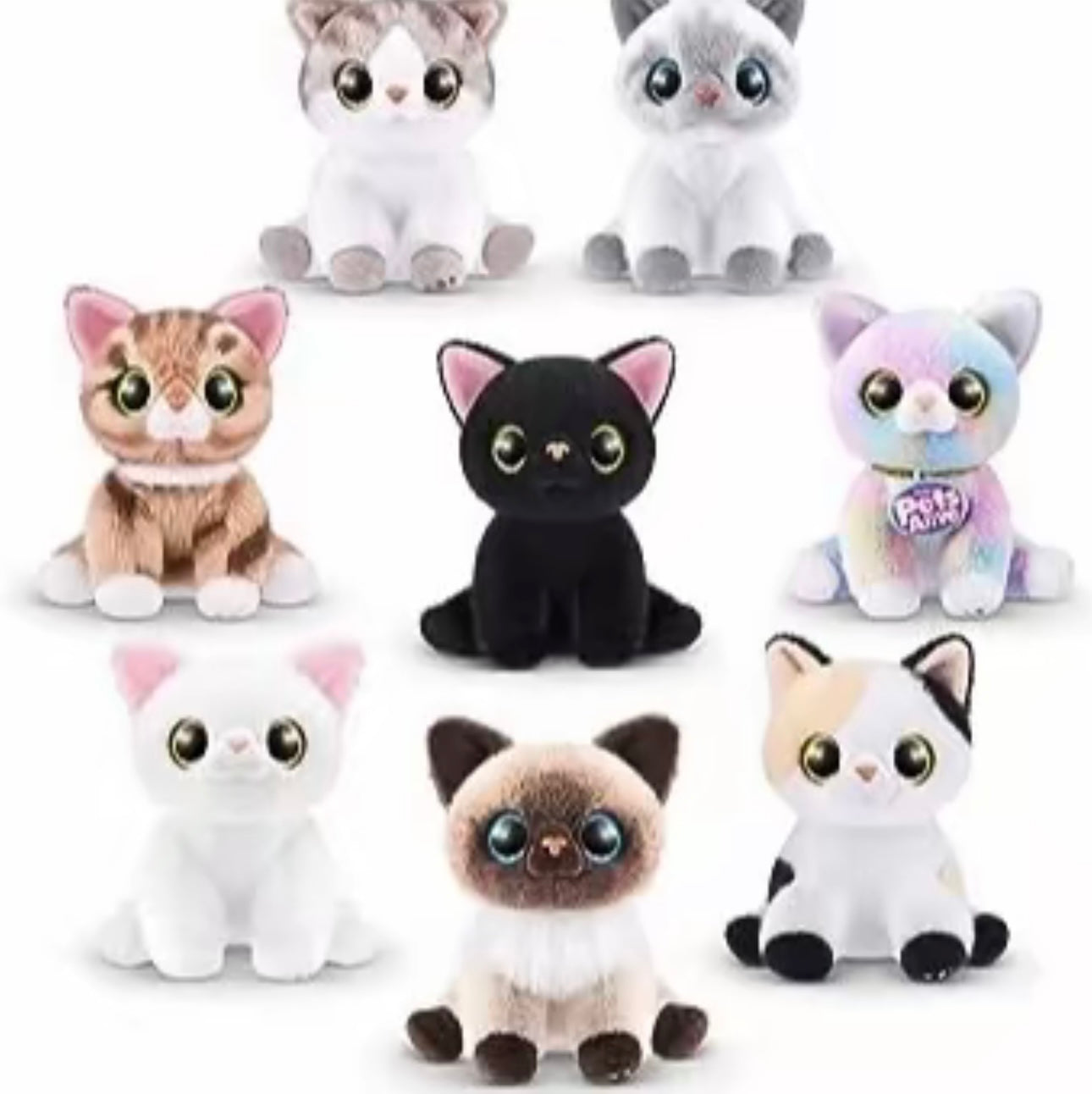 Pets Alive Smitten Kitten Series 1 Assorted