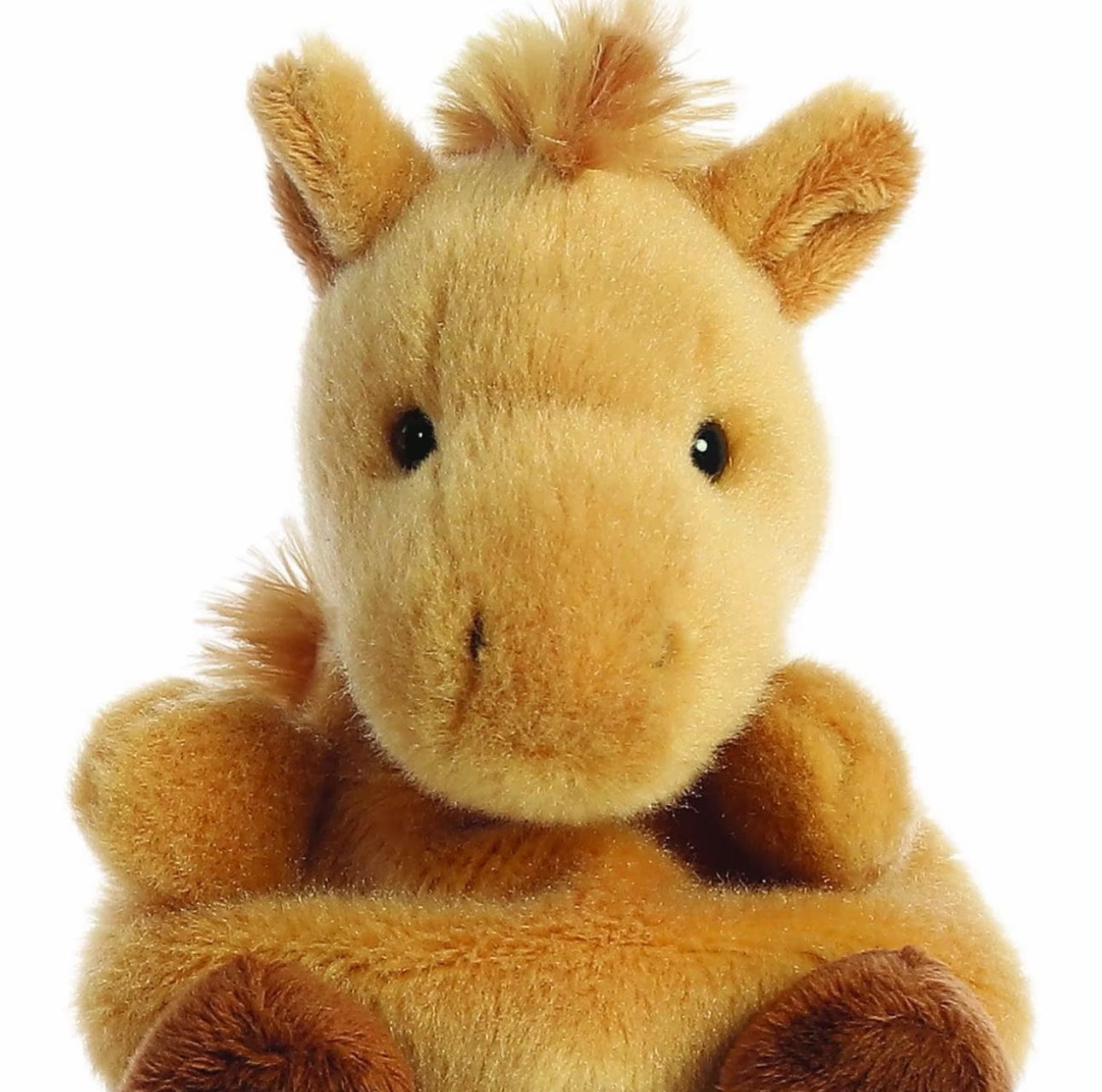 Palm Pals 5 inch Assorted Plush